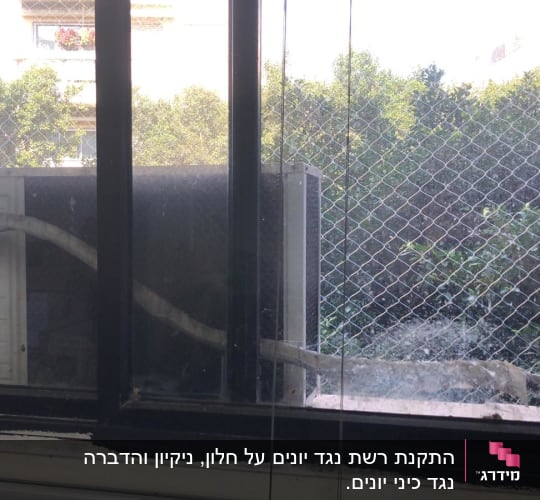 רשת מתכת על חלון למניעת כניסת יונים
